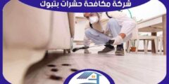 شركة مكافحة حشرات بتبوك رخيصة : رش مبيدات تبوك | هوم سيرفر