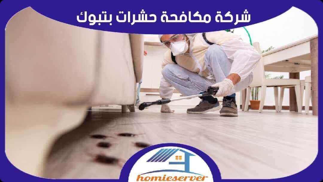 شركة مكافحة حشرات بتبوك