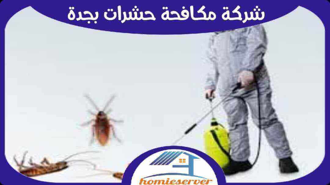 شركة مكافحة حشرات بجدة