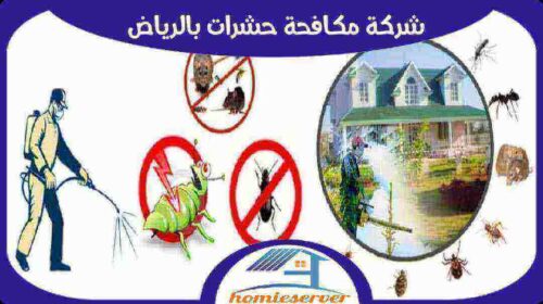 شركة مكافحة حشرات بالرياض رخيصة