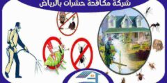 شركة مكافحة حشرات بالرياض رخيصة : رش مبيدات الرياض : للايجار | هوم سيرفر