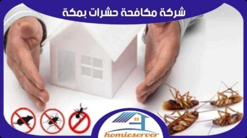 شركة مكافحة حشرات بمكة رخيصة