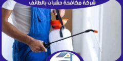 شركة مكافحة حشرات بالطائف رخيصة : رش مبيدات الطائف : للايجار | هوم سيرفر