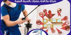 شركة مكافحة حشرات بالمدينة المنورة رخيصة : رش مبيدات المدينه : للايجار | هوم سيرفر