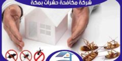 شركة مكافحة حشرات بمكة رخيصة : رش مبيدات مكه المكرمه : للايجار | هوم سيرفر