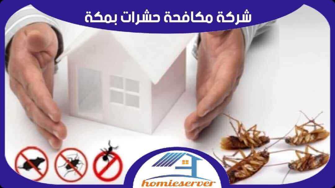 شركة مكافحة حشرات بمكة