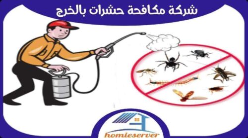 شركة مكافحة حشرات بالخرج رخيصة
