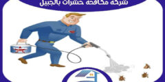 شركة مكافحة حشرات بالجبيل رخيصة : رش مبيدات الخرج : للايجار | هوم سيرفر