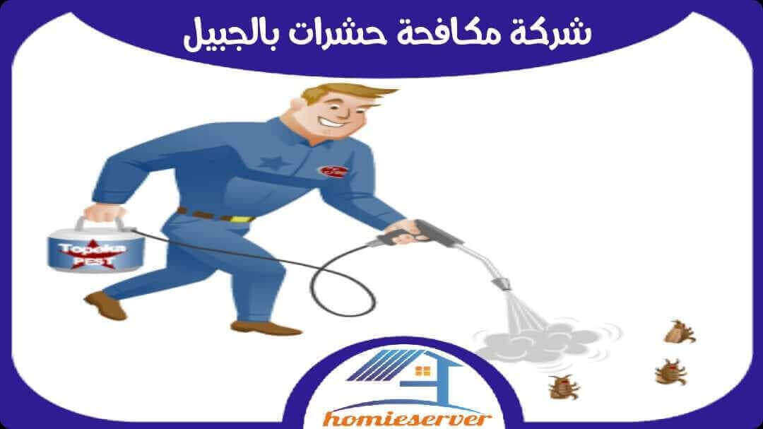 شركة مكافحة حشرات بالجبيل