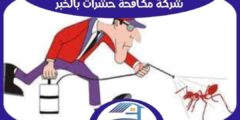 شركة مكافحة حشرات بالخبر رخيصة : رش مبيدات الخبر : للايجار | هوم سيرفر