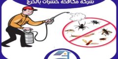 شركة مكافحة حشرات بالخرج  رخيصة : رش مبيدات الخرج : للايجار | هوم سيرفر