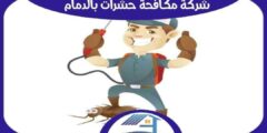 شركة مكافحة حشرات بالدمام رخيصة : رش مبيدات الدمام : للايجار | هوم سيرفر