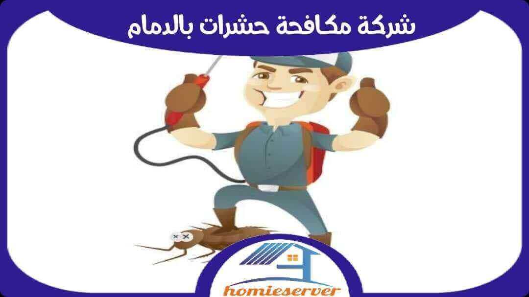 شركة مكافحة حشرات بالدمام