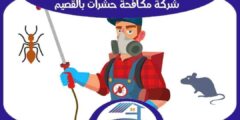 شركة مكافحة حشرات بالقصيم رخيصة : رش مبيدات القصيم : للايجار | هوم سيرفر