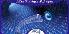 مندوب الياف بصرية stc سكاكا متميز | هوم سيرفر