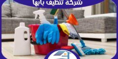 شركة تنظيف بابها رخيصة منازل : شقق : فلل : للإيجار | هوم سيرفر