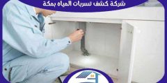 شركة كشف تسربات المياه بمكة معتمدة اتصل الآن بنا | هوم سيرفر
