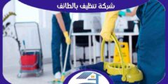 شركة تنظيف بالطائف رخيصة منازل . فلل . شقق : للايجار | هوم سيرفر