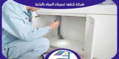 شركة كشف تسربات المياه بالباحة اتصل الآن لطلب الخدمة | هوم سيرفر
