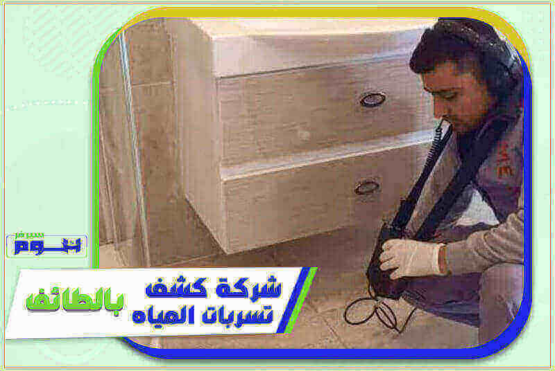 شركة كشف تسربات المياه بالطائف